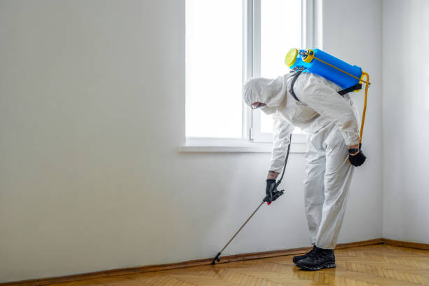 Professional Pest Control in Vadnais Heights, MN