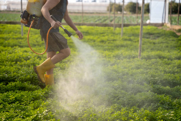 Best Mosquito Control Services  in Vadnais Heights, MN