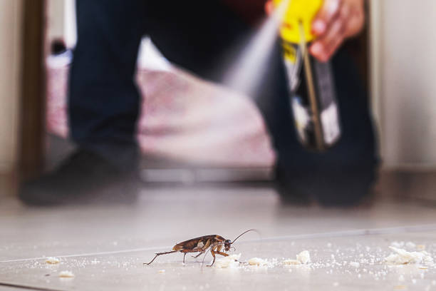 Wildlife Control Services in Vadnais Heights, MN
