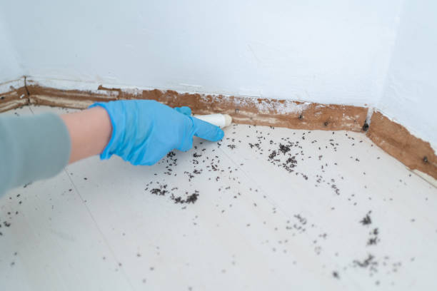 Best Exterminator Services  in Vadnais Heights, MN