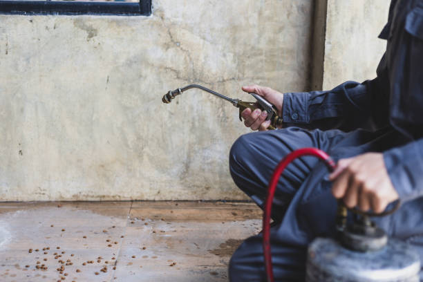 Best Termite Control Services  in Vadnais Heights, MN