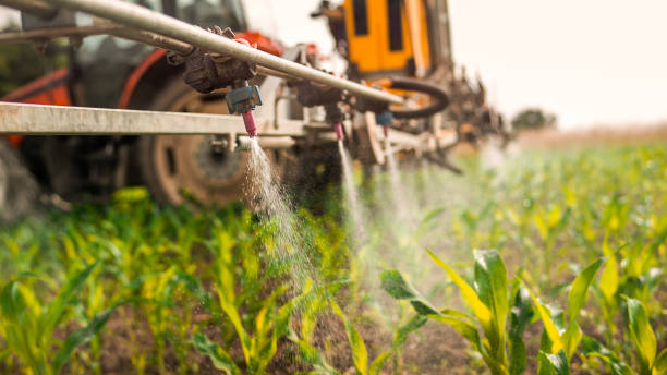 Best Ant Control Services  in Vadnais Heights, MN