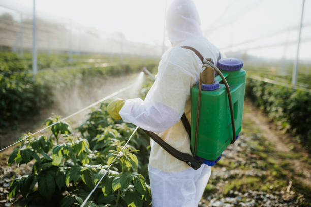 Best Wasp Removal Services  in Vadnais Heights, MN